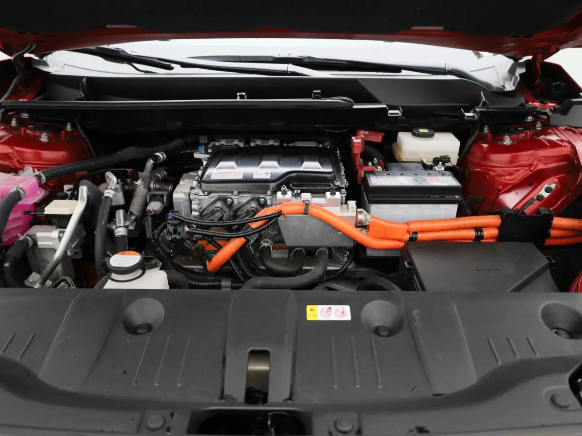 Dynamic 71 kWh