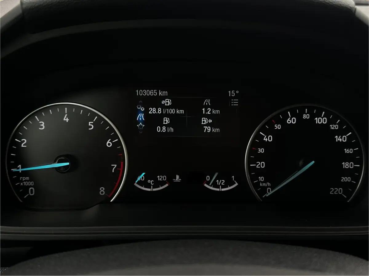 1.0 Titanium, Bluetooth, CarPlay, Camera, Cruise, Navi, Stuur/Stoelverwrm, NAP