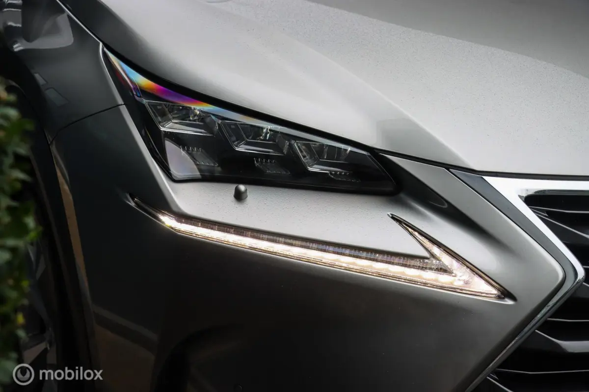 300h AWD Luxury Line|LEDER|CAMERA|STOELVENTILATIE|MARK LEVINSON AUDIO