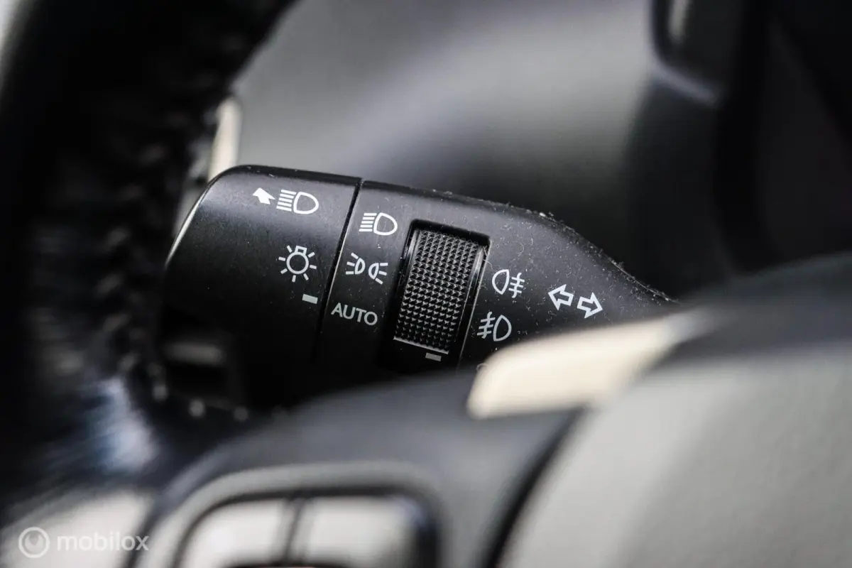 300h AWD Luxury Line|LEDER|CAMERA|STOELVENTILATIE|MARK LEVINSON AUDIO
