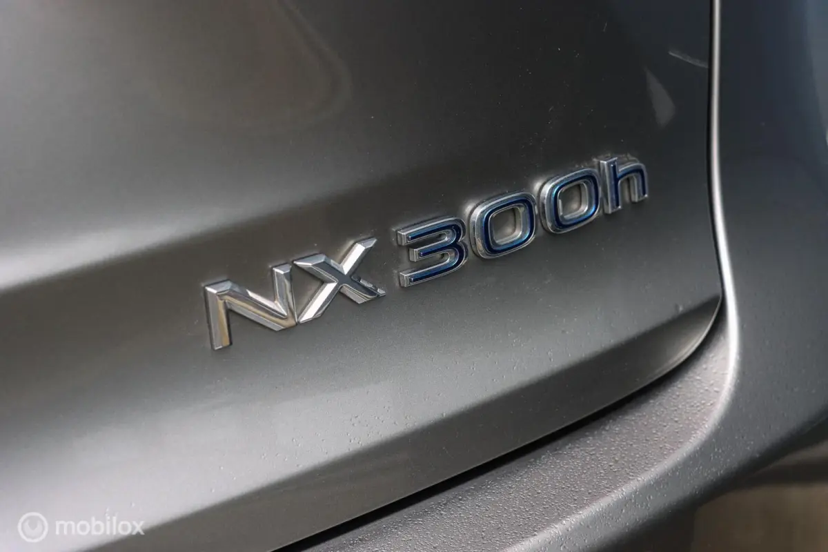 300h AWD Luxury Line|LEDER|CAMERA|STOELVENTILATIE|MARK LEVINSON AUDIO