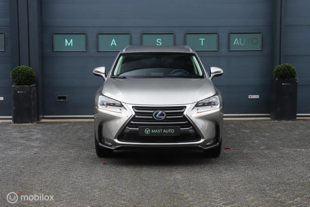 300h AWD Luxury Line|LEDER|CAMERA|STOELVENTILATIE|MARK LEVINSON AUDIO