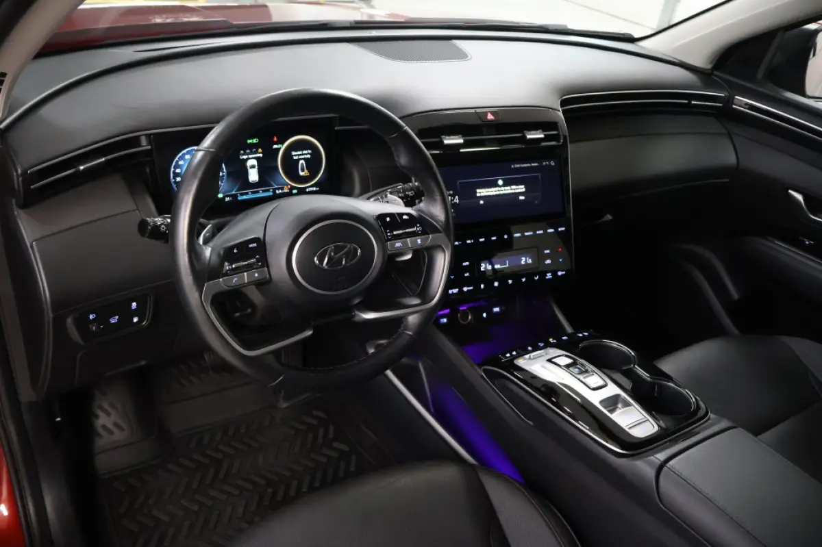 1.6 T-GDI PHEV Premium 4WD | Leder | Krell Audio
