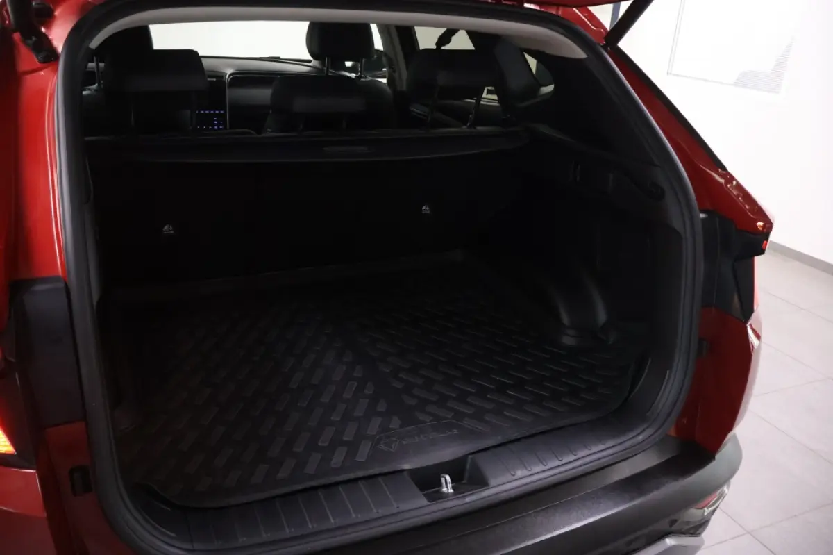 1.6 T-GDI PHEV Premium 4WD | Leder | Krell Audio