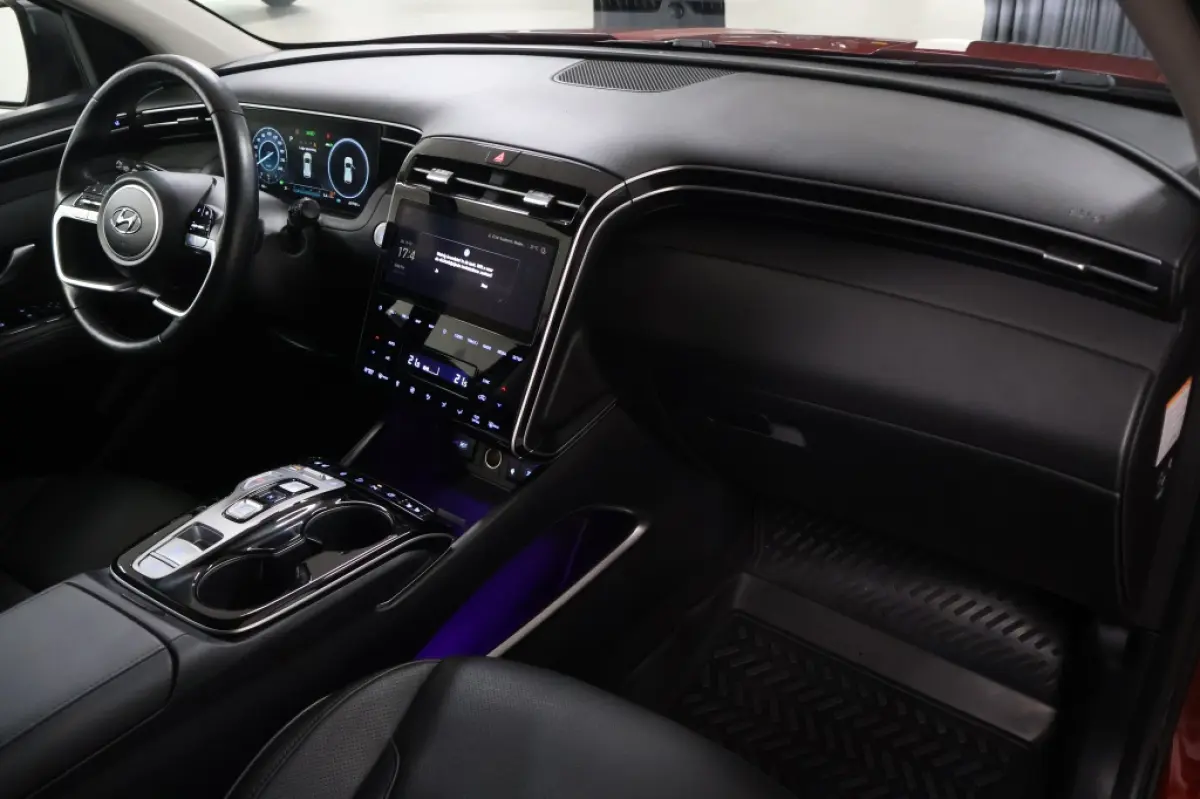 1.6 T-GDI PHEV Premium 4WD | Leder | Krell Audio