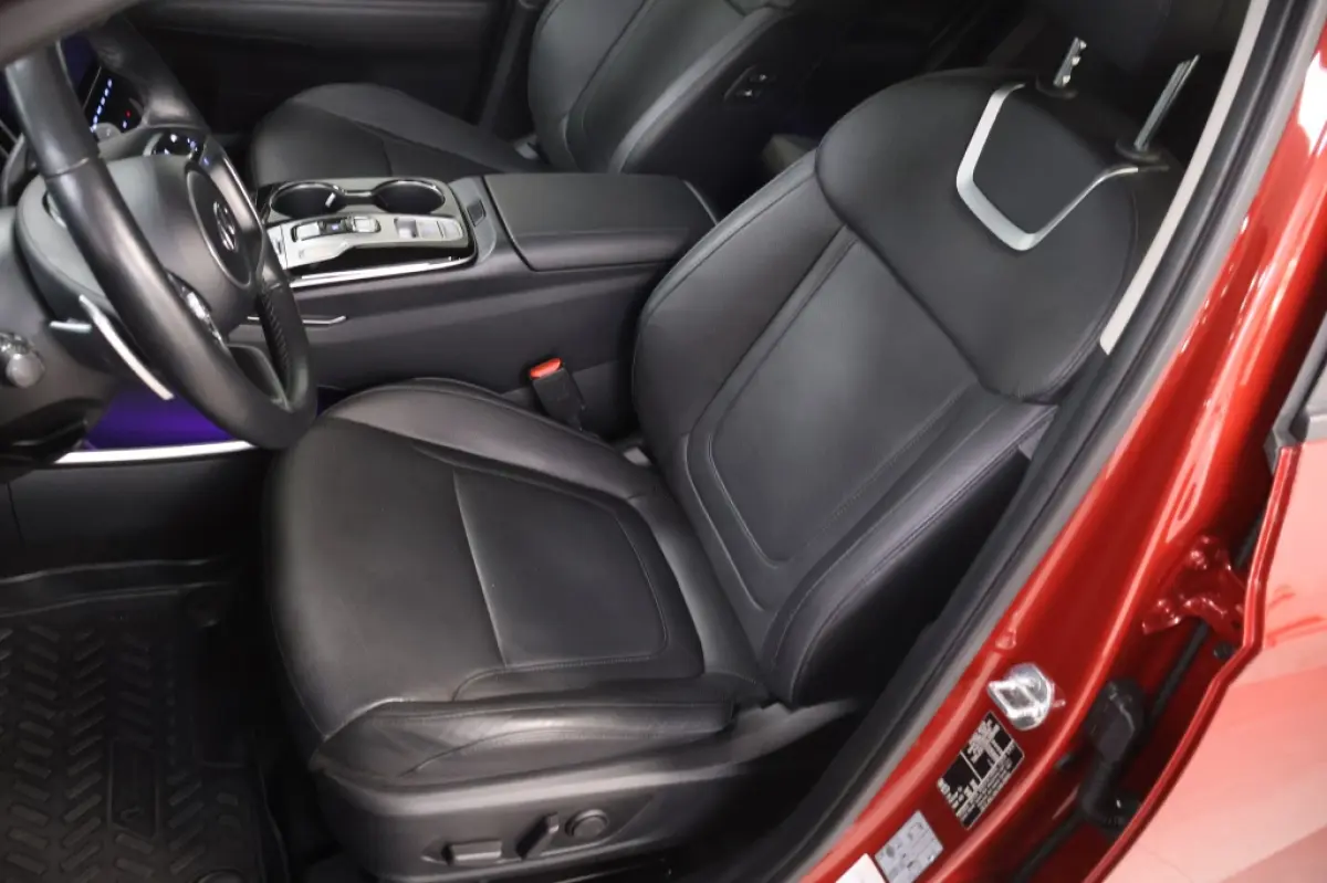 1.6 T-GDI PHEV Premium 4WD | Leder | Krell Audio