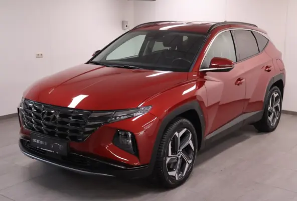 1.6 T-GDI PHEV Premium 4WD | Leder | Krell Audio