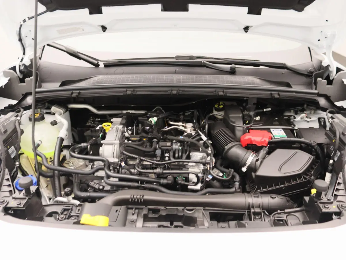 1.0 EcoBoost ST-Line | UIT VOORRAAD LEVERBAAR | Winter Pack | Keyless Entry | Elektrische achterklep |