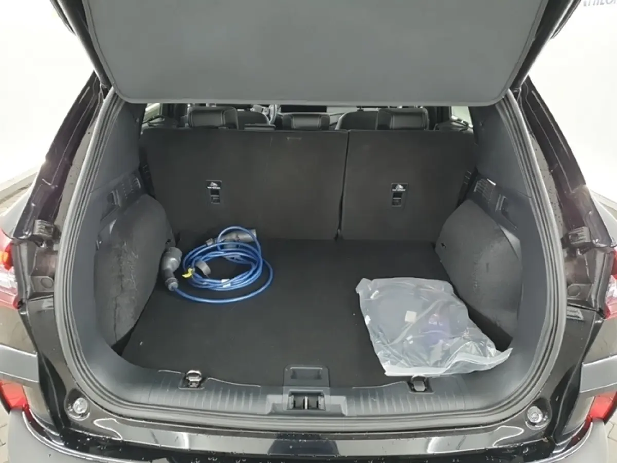 2.5 PHEV Active X MEMORY | ADAPT. CRUISE | H-LEER | LMV
