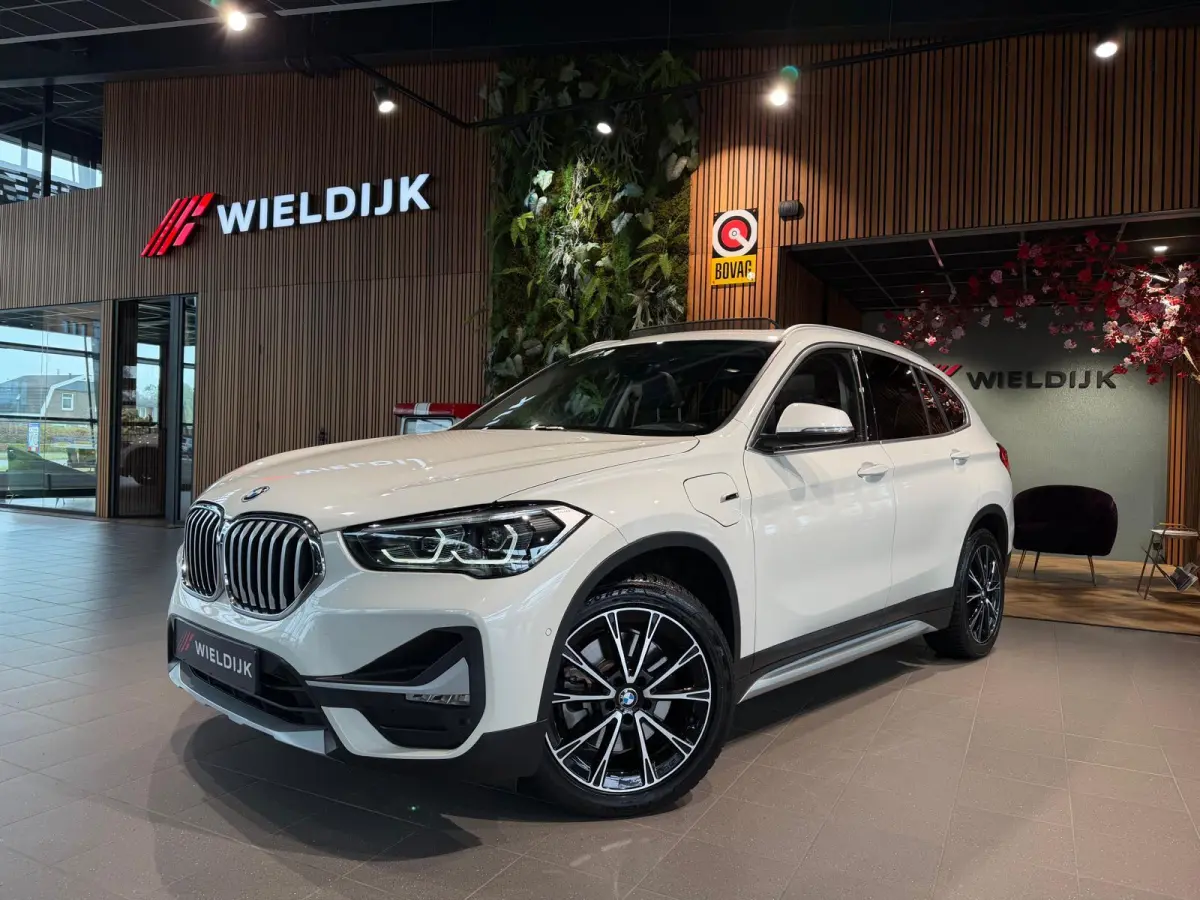 xDrive25e Pano schuif camera keyless