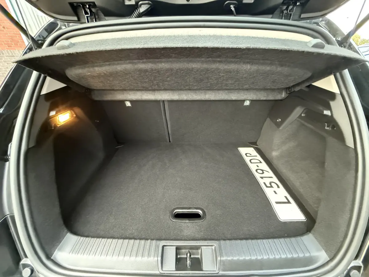 1.0 TCe 90 Zen | NIEUWSTAAT | CRUISE | TREKHAAK | NAVI VIA APP | LED | CARPLAY |