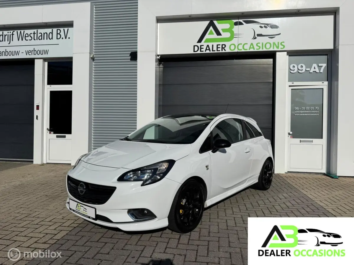1.0 Turbo Color Edition/OPC/Airco/Cruise Cont/Apk
