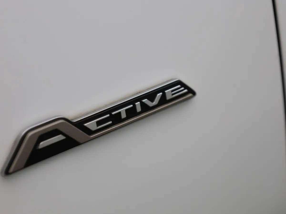 1.0 EcoBoost Hybrid Active X Business | Elektrische Achterklep | Navigatie | Achteruitrijdcamera | B&O Audiosysteem | Stoel Stuur en Voorruit Verwarming | Cruis control Adaptief |