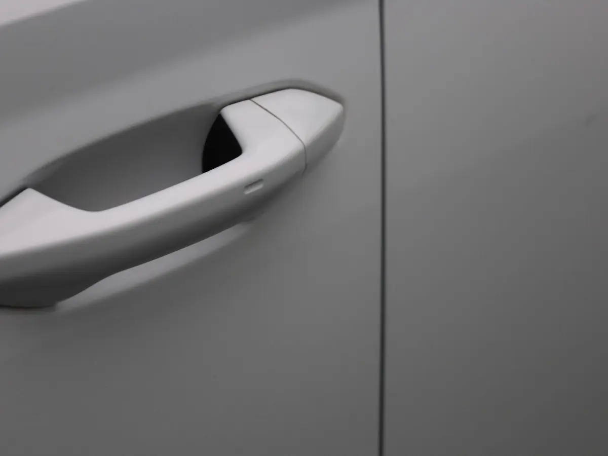 1.0 e-TSI Business Edition Plus | Automaat | Apple Carplay / Android Auto | Panoramadak | Achteruitrijcamera | Parkeersensoren | Sfeerverlichting |