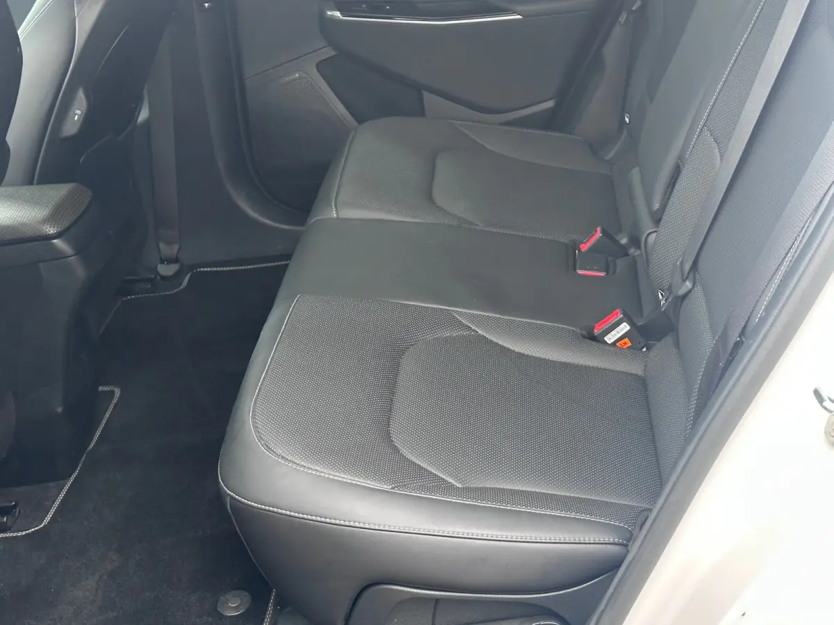 Plus 77.4 kWh SOH 100% WARMTEPOMP DEALER OND