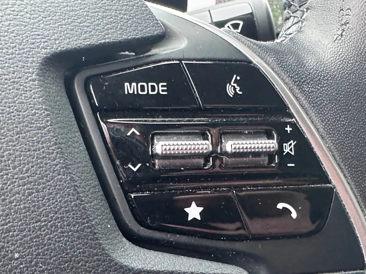 Plus 77.4 kWh SOH 100% WARMTEPOMP DEALER OND
