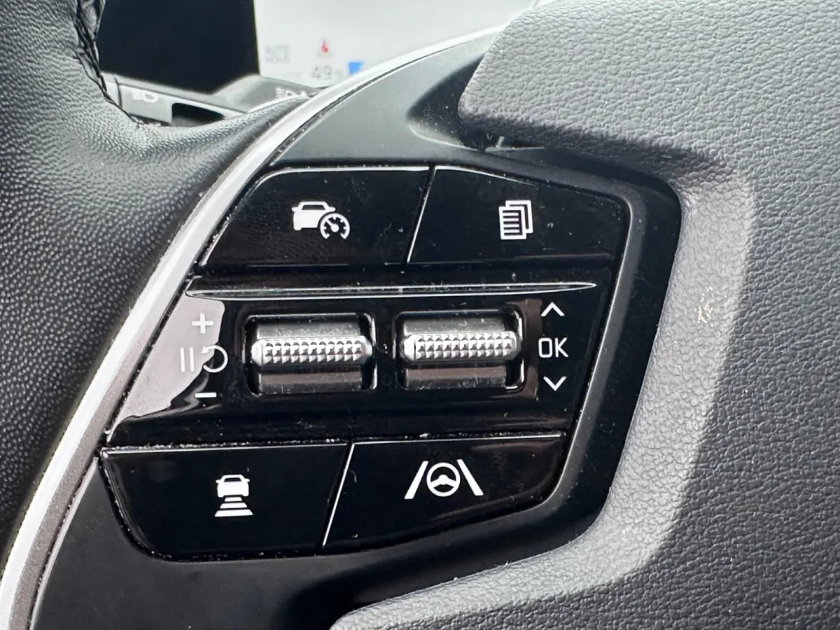Plus 77.4 kWh SOH 100% WARMTEPOMP DEALER OND