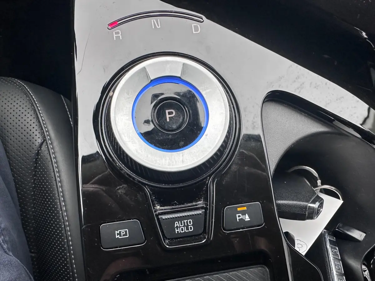 Plus 77.4 kWh SOH 100% WARMTEPOMP DEALER OND