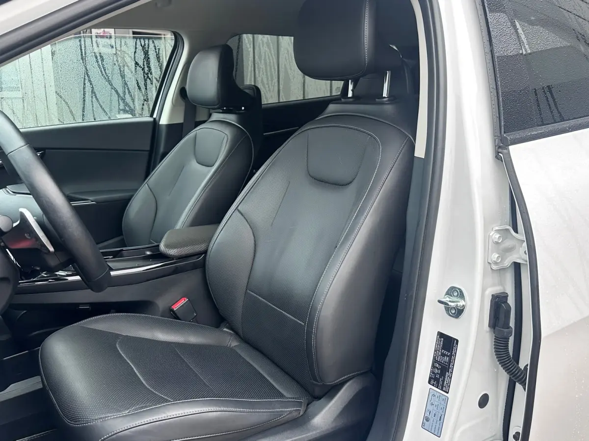 Plus 77.4 kWh SOH 100% WARMTEPOMP DEALER OND