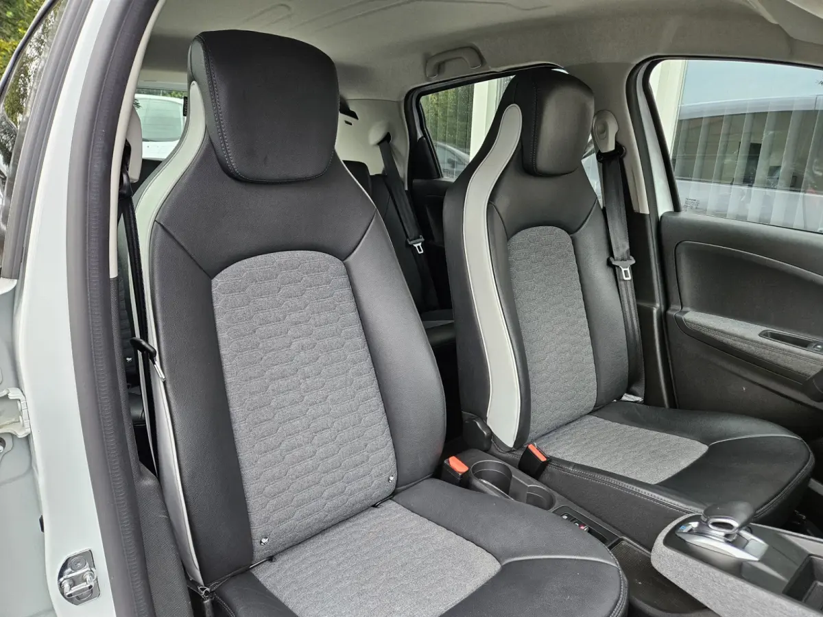 R135 Intens 52 kWh Koopaccu! SOH 94%! LED! Camera! NAP! Airco/Clima! PDC! Cruise Control! Navigatie!