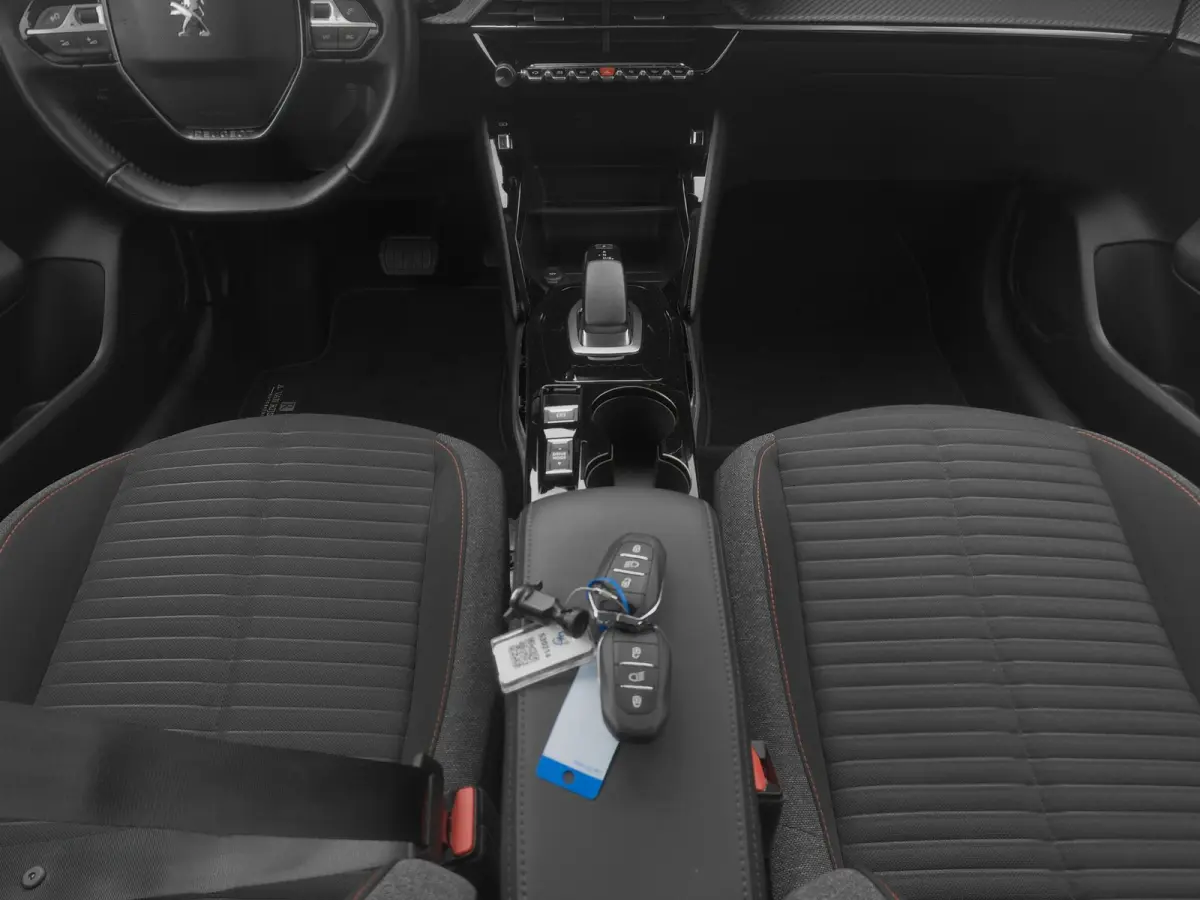 EV Active 50 kWh | CARPLAY
