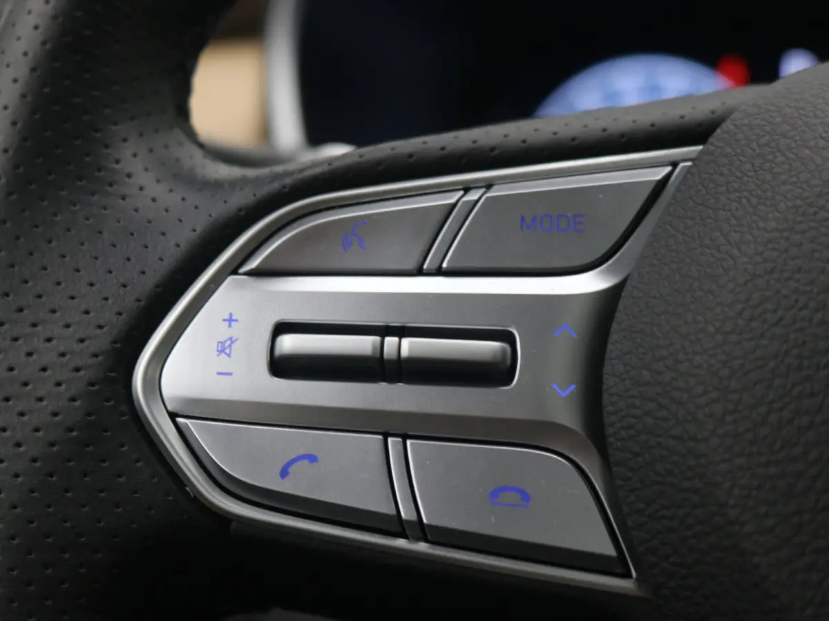 PHEV Premium Sky SOH 100% | Achterbank verwarmd | Achteruitrijcamera 360 graden | Airco (automatisch)