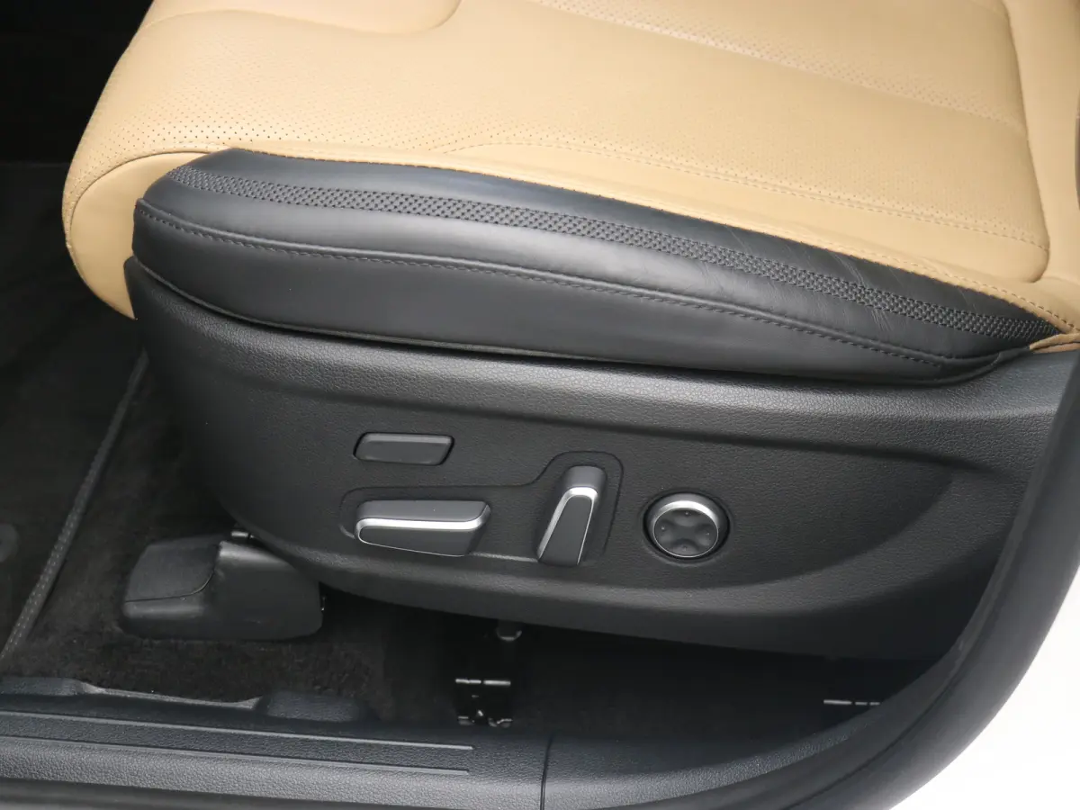 PHEV Premium Sky SOH 100% | Achterbank verwarmd | Achteruitrijcamera 360 graden | Airco (automatisch)