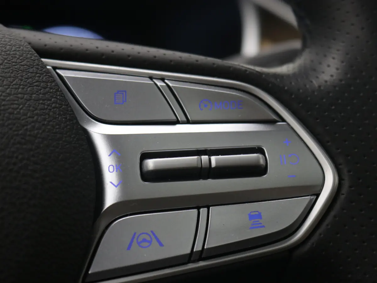 PHEV Premium Sky SOH 100% | Achterbank verwarmd | Achteruitrijcamera 360 graden | Airco (automatisch)