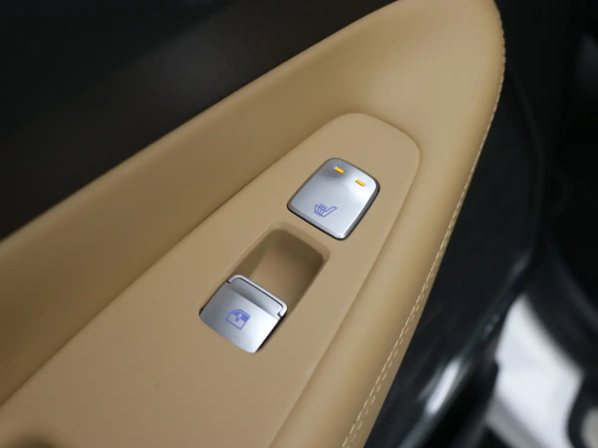 PHEV Premium Sky SOH 100% | Achterbank verwarmd | Achteruitrijcamera 360 graden | Airco (automatisch)