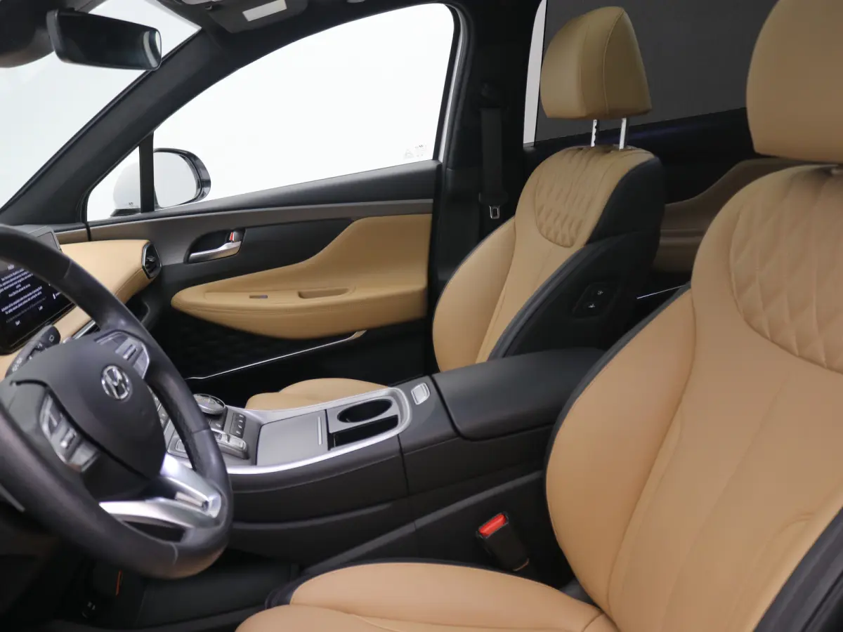 PHEV Premium Sky SOH 100% | Achterbank verwarmd | Achteruitrijcamera 360 graden | Airco (automatisch)