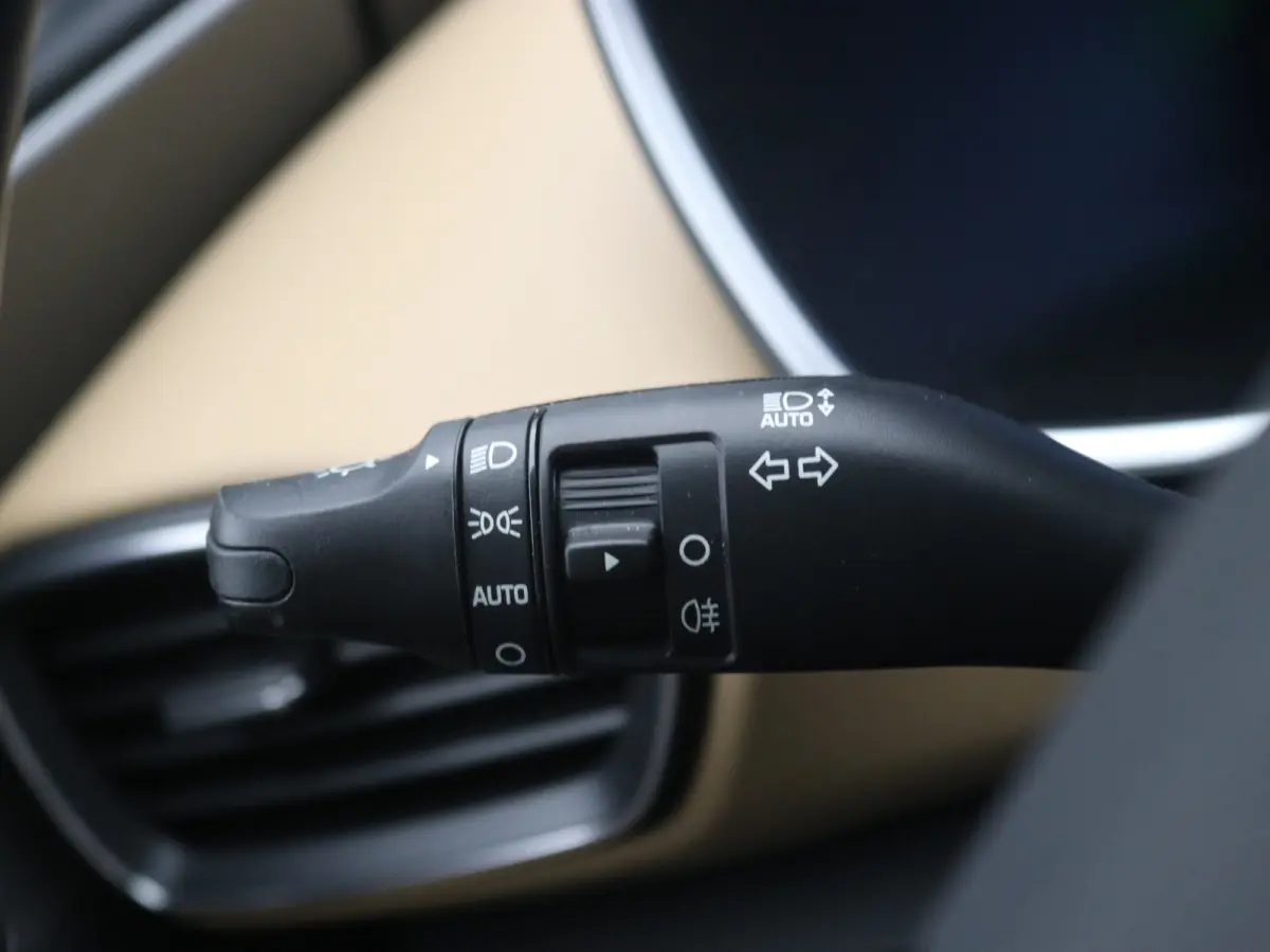 PHEV Premium Sky SOH 100% | Achterbank verwarmd | Achteruitrijcamera 360 graden | Airco (automatisch)