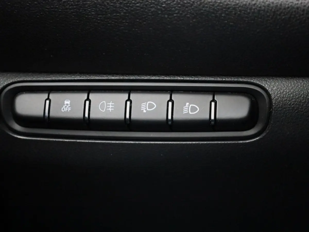 500e 42 kWh Icon | WORDT VERWACHT |