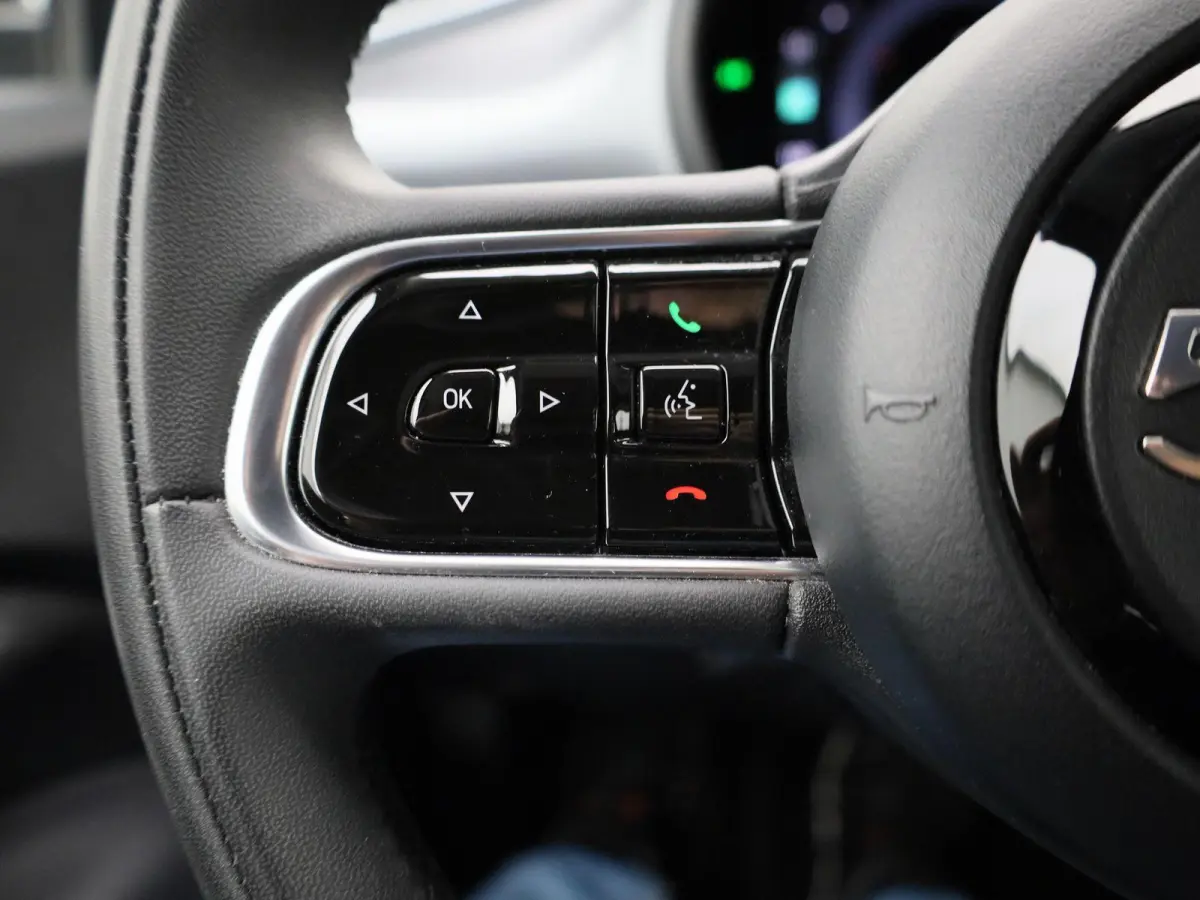 500e 42 kWh Icon | WORDT VERWACHT |