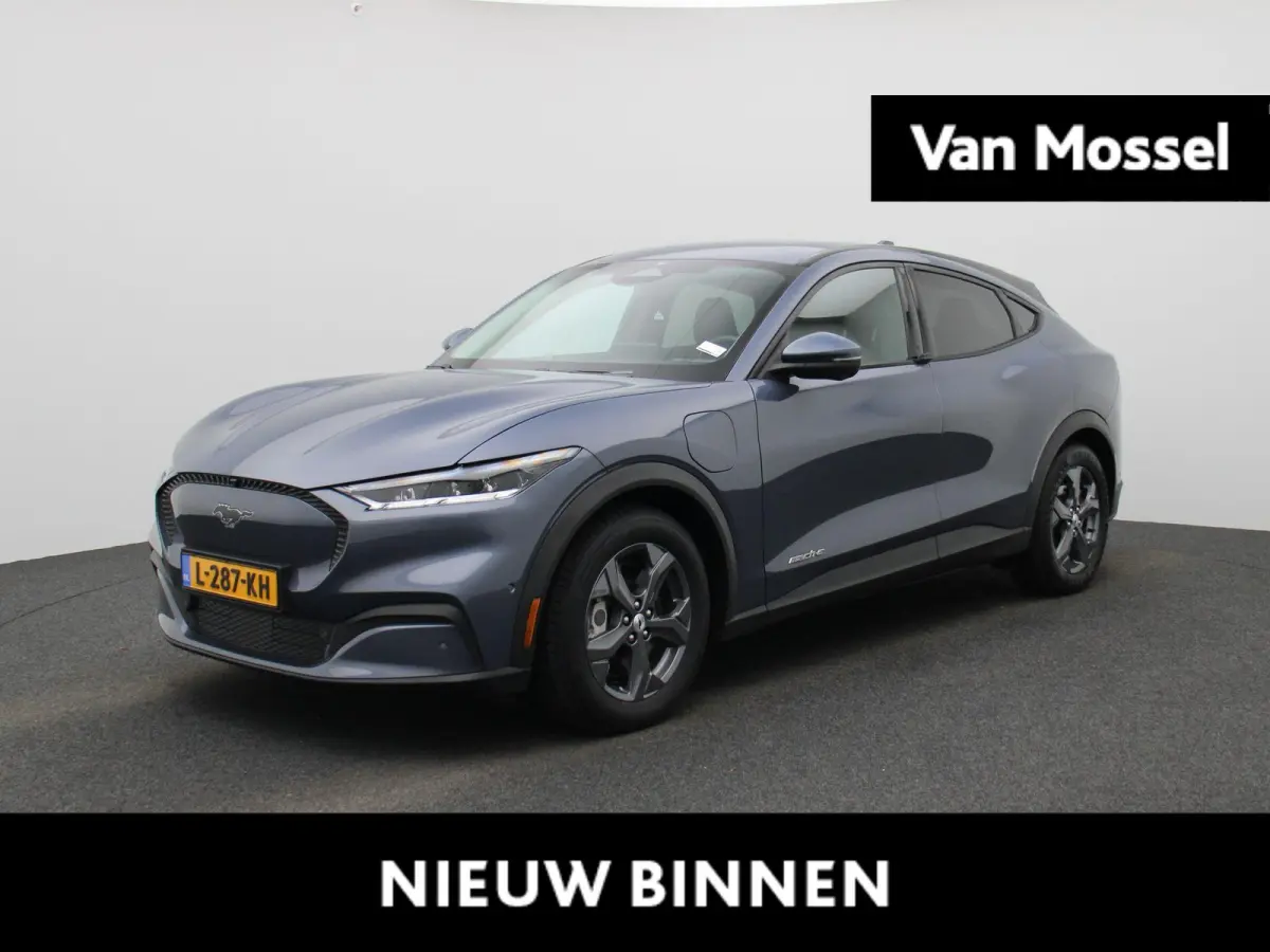 RWD 75 kWh | Apple Carplay/Android Auto | Camera | Cruise Control | Lichtmetalen Velgen |