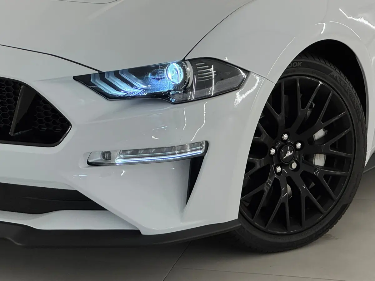 5.0 V8 GT Performance BLACK FRIDAY DEAL!