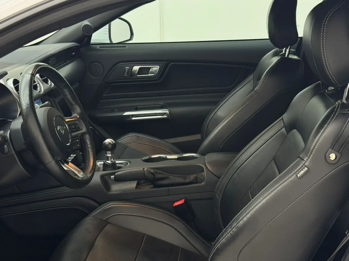 5.0 V8 GT Performance BLACK FRIDAY DEAL!