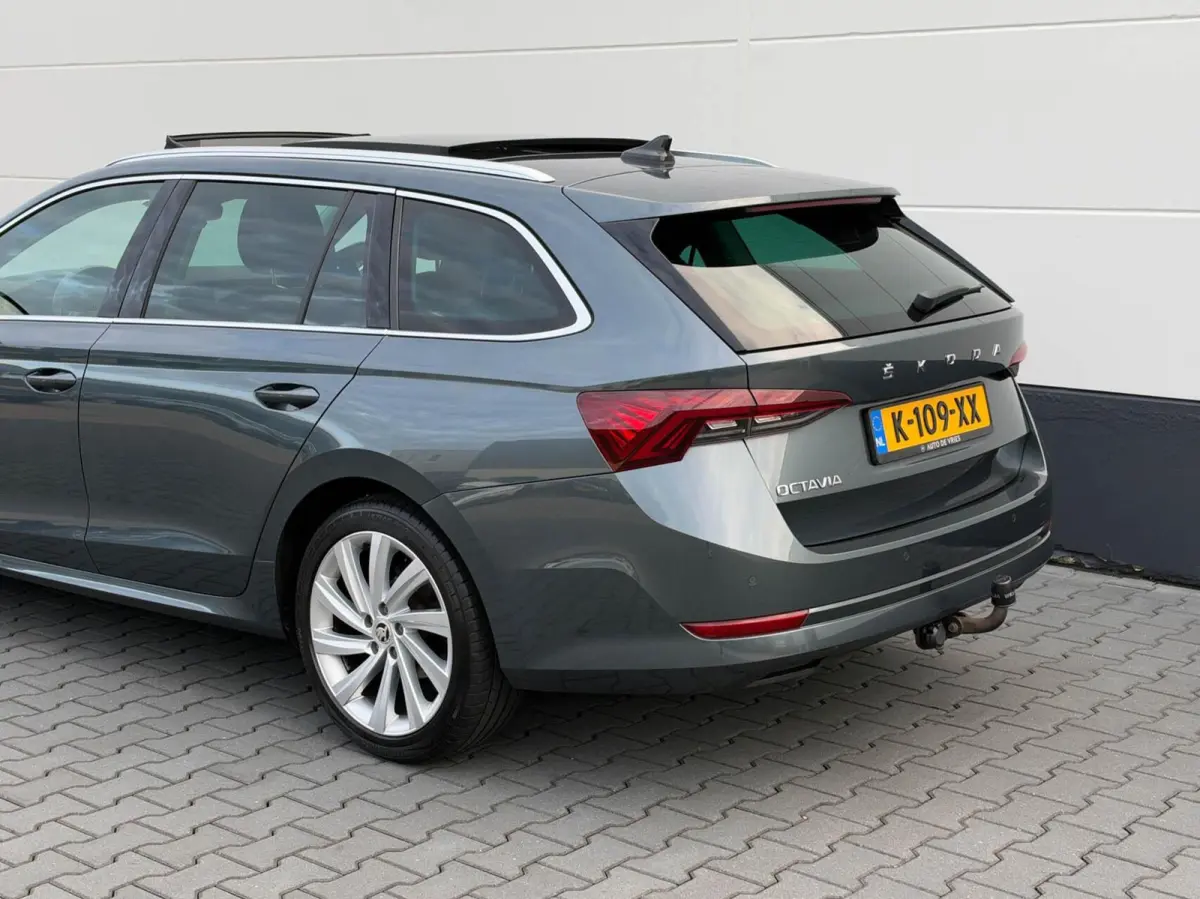 1.0 TSI 110pk Business Edition Plus | Panoramadak | Stoelverwarming | Trekhaak