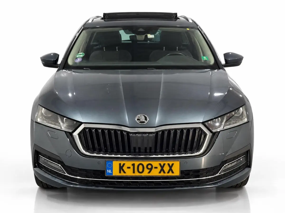 1.0 TSI 110pk Business Edition Plus | Panoramadak | Stoelverwarming | Trekhaak