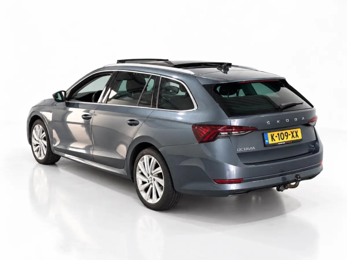 1.0 TSI 110pk Business Edition Plus | Panoramadak | Stoelverwarming | Trekhaak