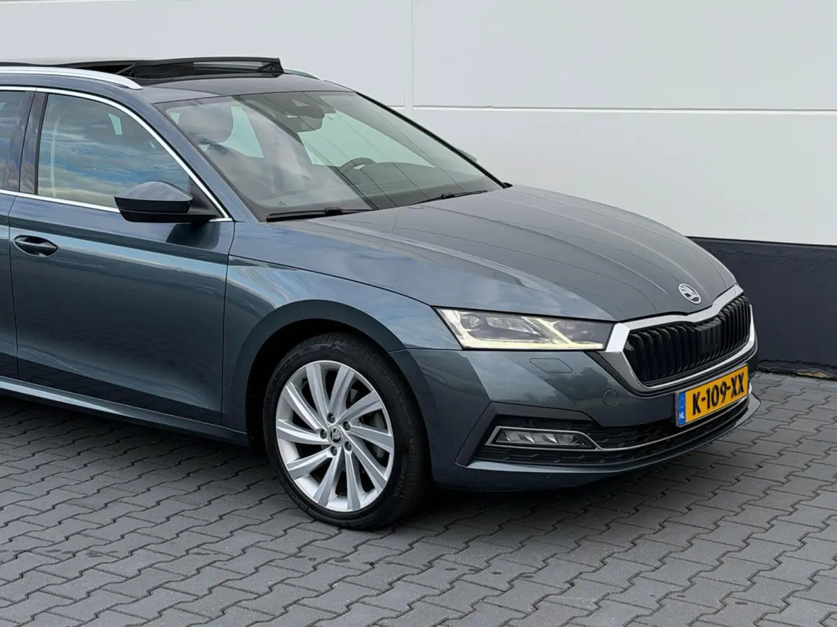1.0 TSI 110pk Business Edition Plus | Panoramadak | Stoelverwarming | Trekhaak