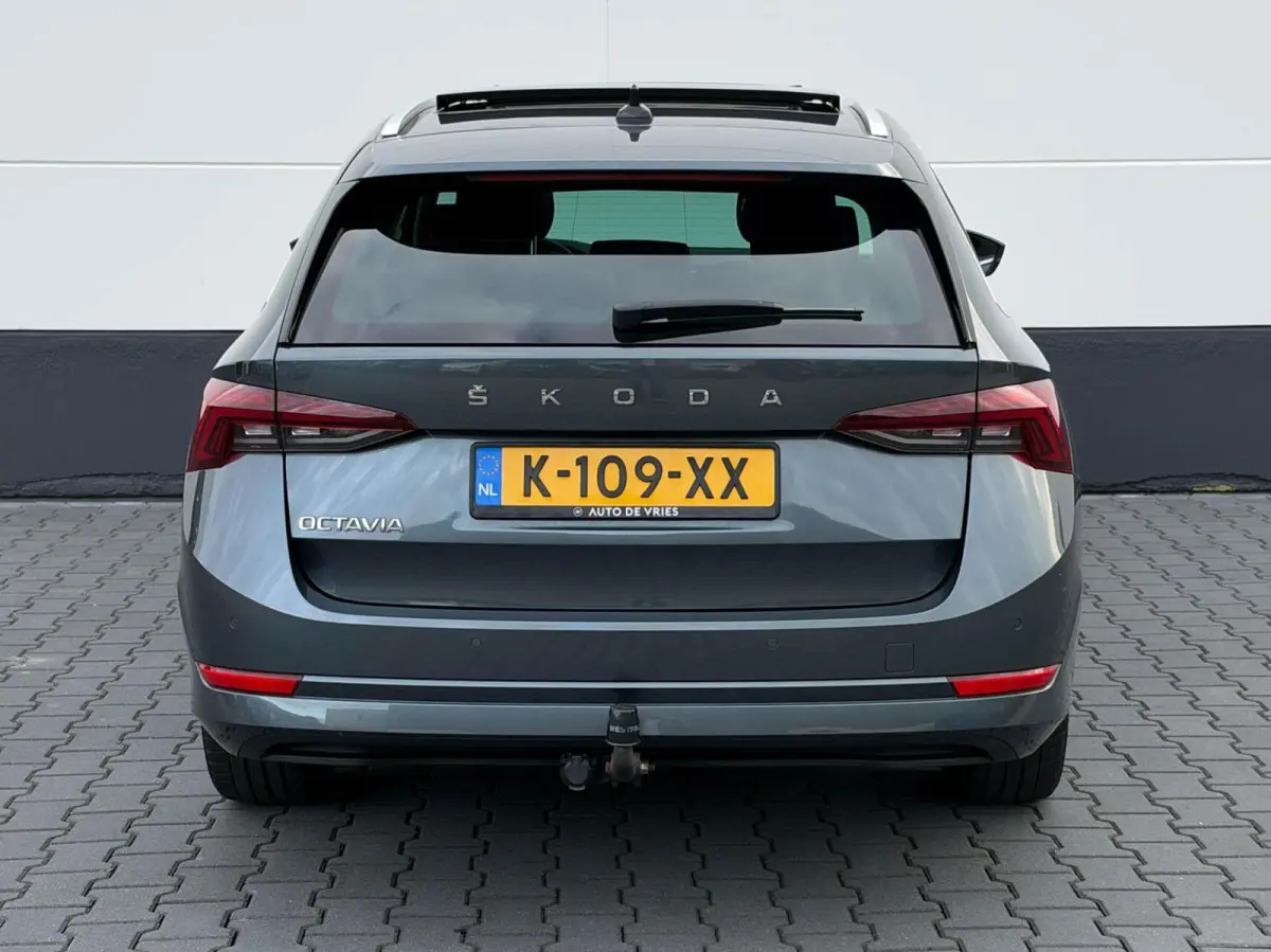1.0 TSI 110pk Business Edition Plus | Panoramadak | Stoelverwarming | Trekhaak