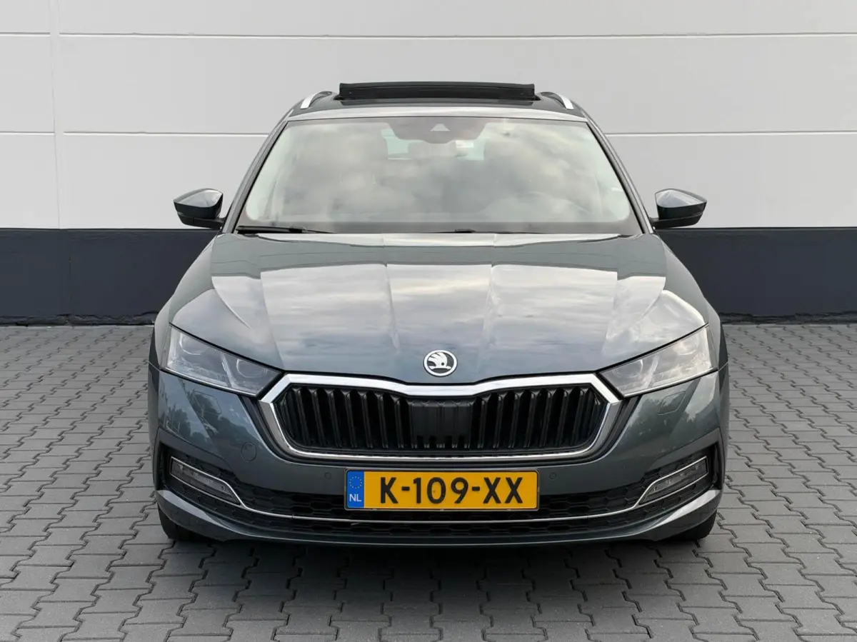 1.0 TSI 110pk Business Edition Plus | Panoramadak | Stoelverwarming | Trekhaak