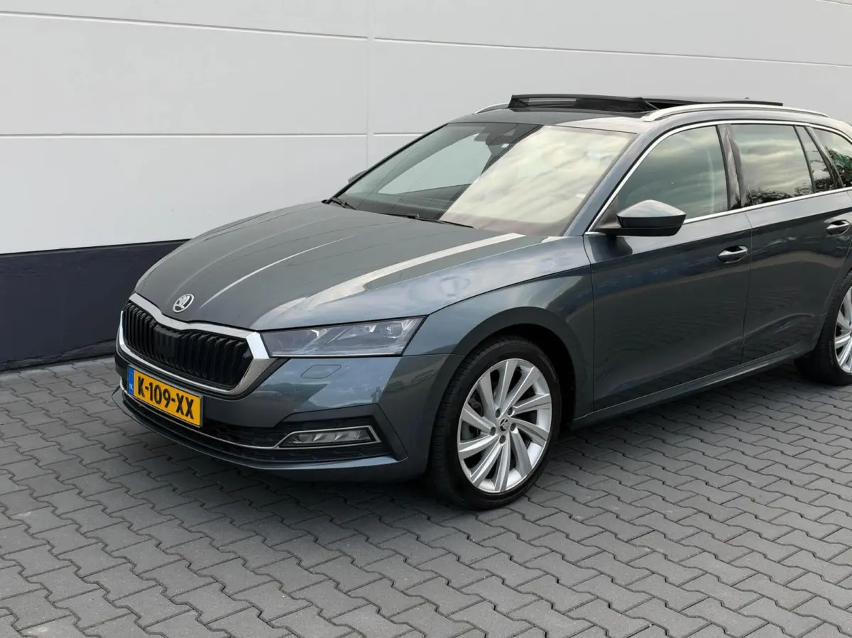 1.0 TSI 110pk Business Edition Plus | Panoramadak | Stoelverwarming | Trekhaak