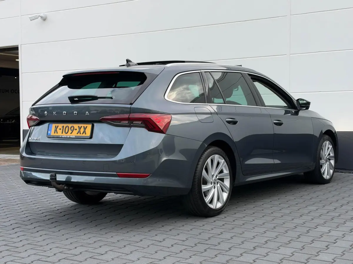 1.0 TSI 110pk Business Edition Plus | Panoramadak | Stoelverwarming | Trekhaak