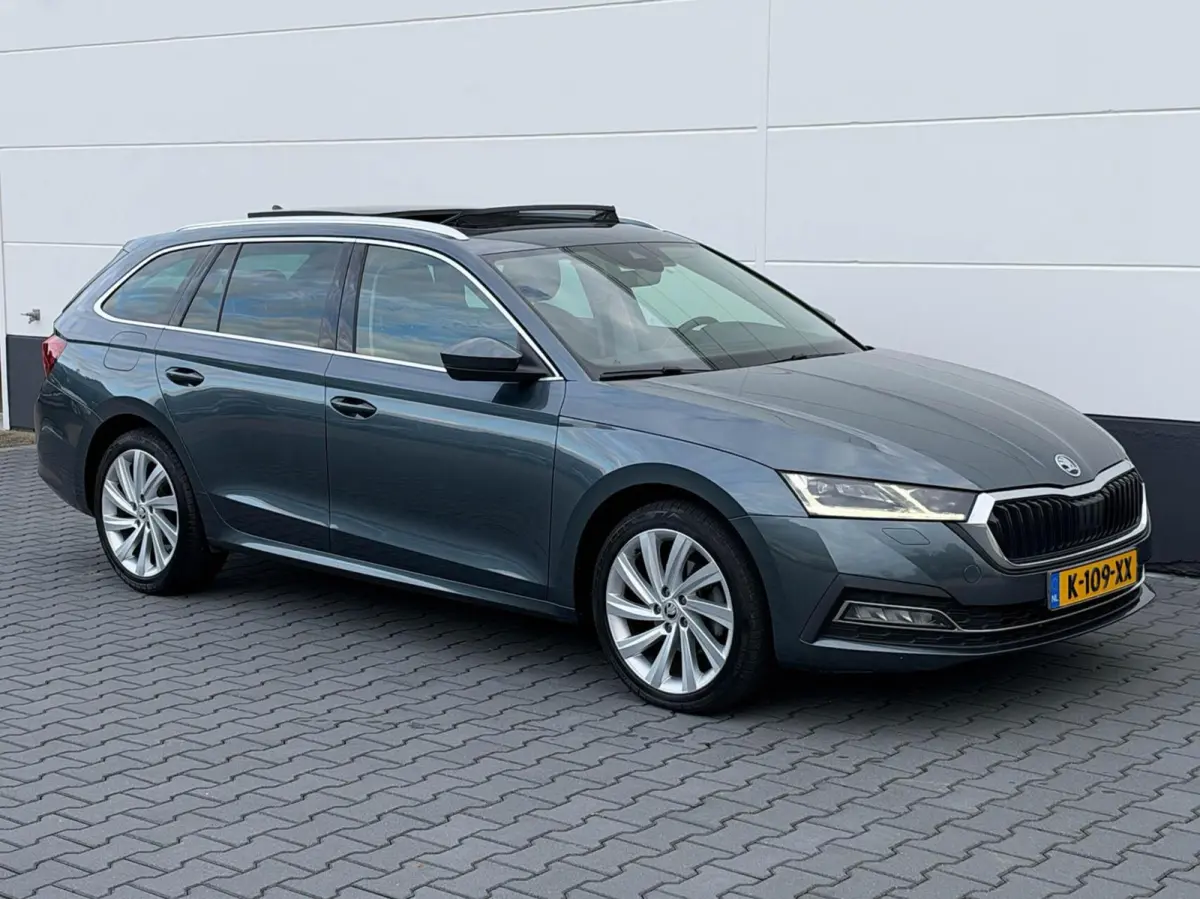 1.0 TSI 110pk Business Edition Plus | Panoramadak | Stoelverwarming | Trekhaak