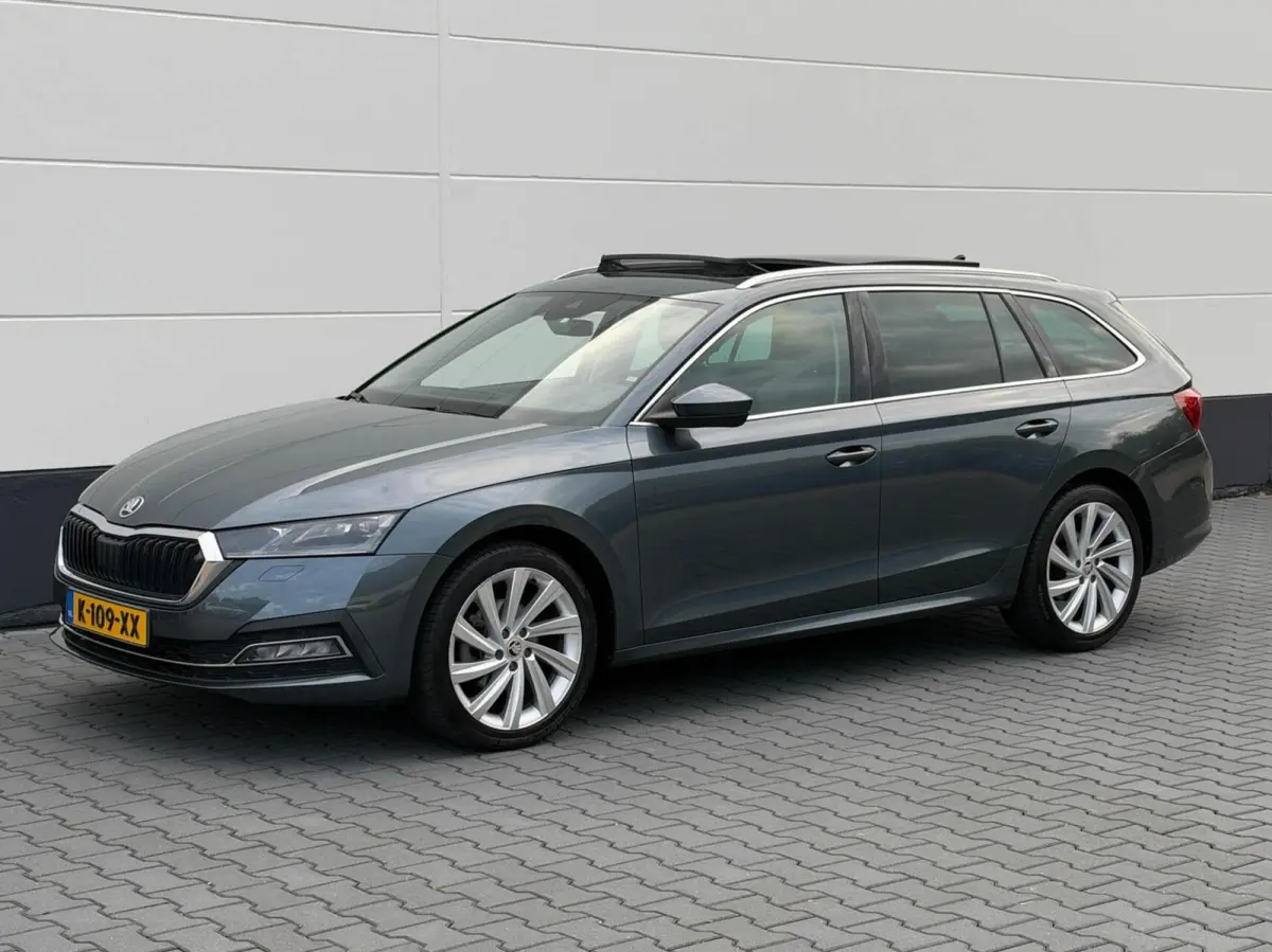 1.0 TSI 110pk Business Edition Plus | Panoramadak | Stoelverwarming | Trekhaak
