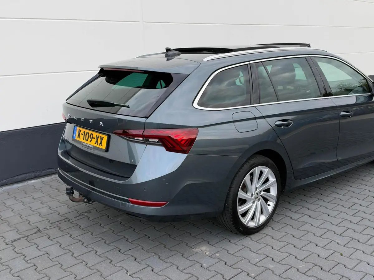 1.0 TSI 110pk Business Edition Plus | Panoramadak | Stoelverwarming | Trekhaak