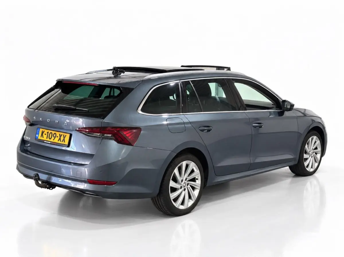 1.0 TSI 110pk Business Edition Plus | Panoramadak | Stoelverwarming | Trekhaak