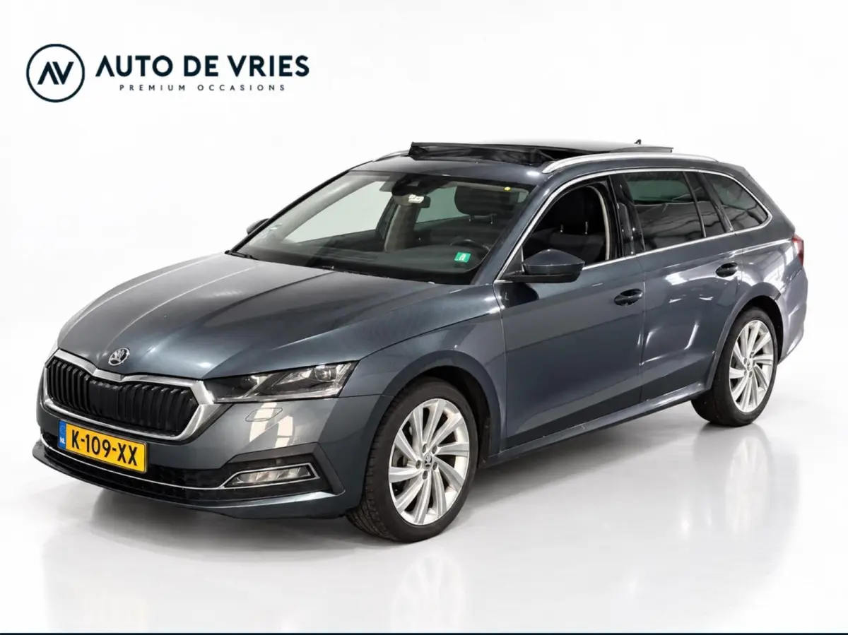 1.0 TSI 110pk Business Edition Plus | Panoramadak | Stoelverwarming | Trekhaak