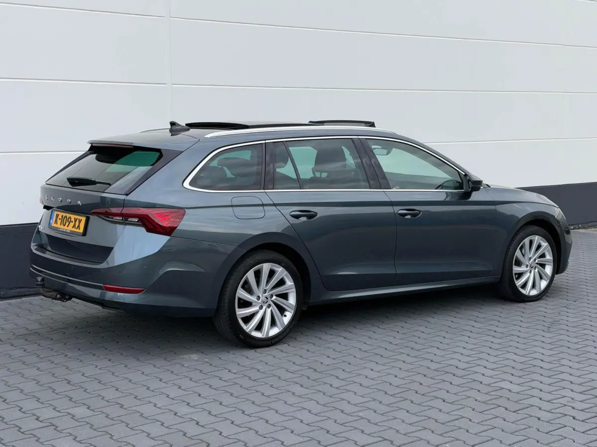 1.0 TSI 110pk Business Edition Plus | Panoramadak | Stoelverwarming | Trekhaak